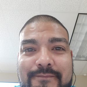 Meet your Posher, Trino